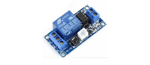 Relay Modules