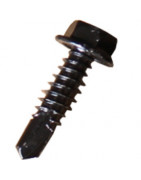 Screws / Bolts