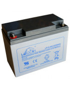 Leoch VRLA AGM Batteries