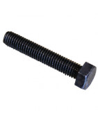 Hexagonal Bolt