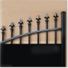 3M Curved Double Gates with Added Aluminium Plates in Auckland.