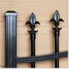 Aluminium Arched Top Pedestrian Gates 1.7M High In Auckland.
