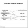 4 Wire S/S Video Intercom With Two Outputs.