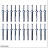 Concrete Nails Made Out Of Zink Alloy 40mm Long the Diameter of 6mm.
