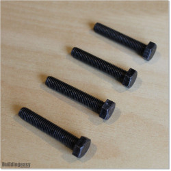 Stainless Steel and Blackened Bolts M8 X 45mm