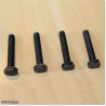 Stainless Steel and Blackened Bolts M8 X 45mm