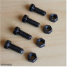 Stainless Steel and Blackened Bolts and Nuts M10 X 30mm
