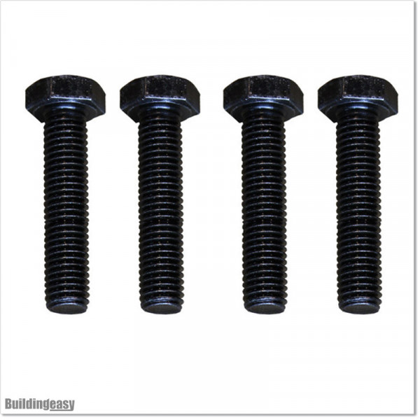 Stainless Steel and Blackened Bolts and Nuts M10 X 45mm