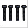 Stainless Steel and Blackened Bolts and Nuts M10 X 45mm